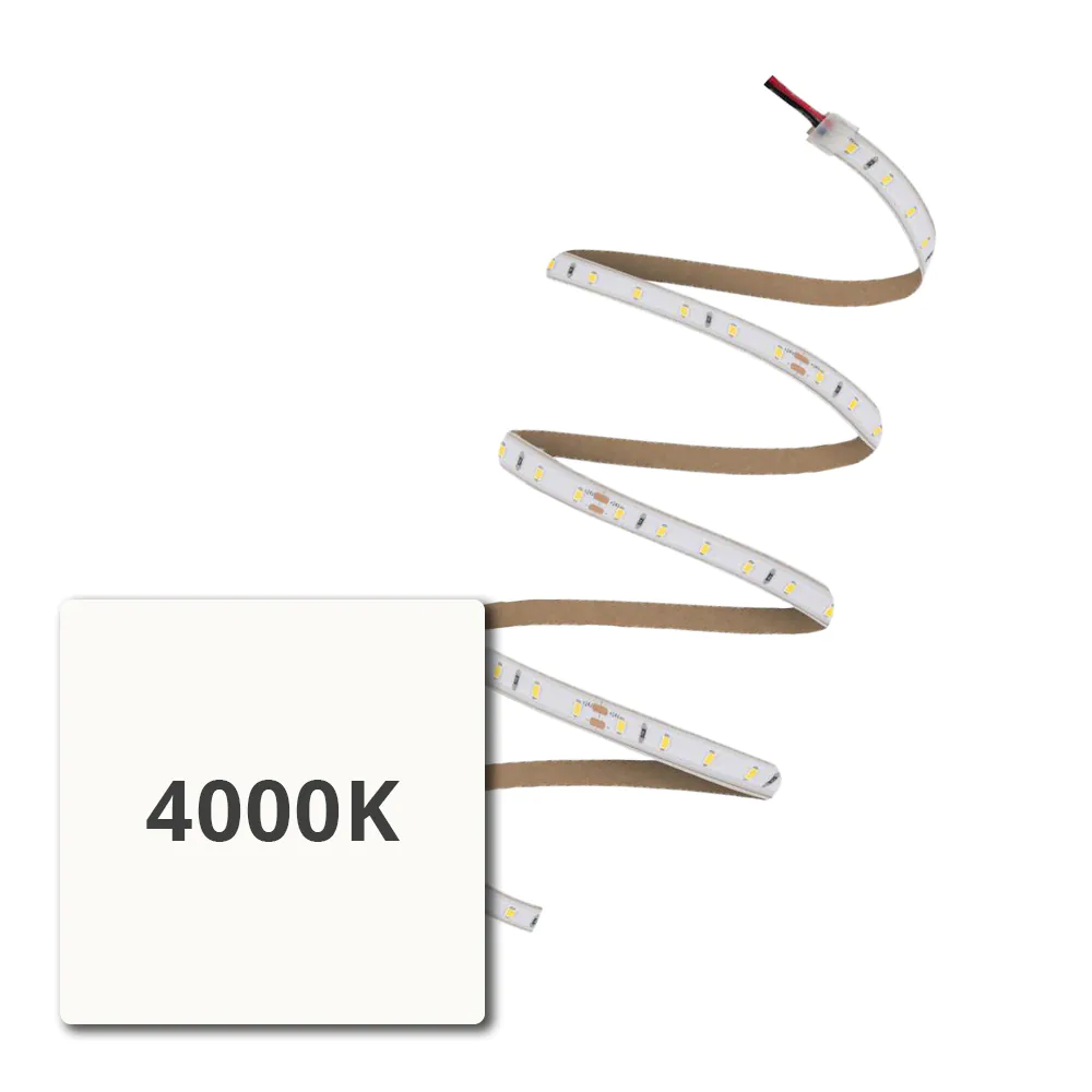 4000K (Kelvin)